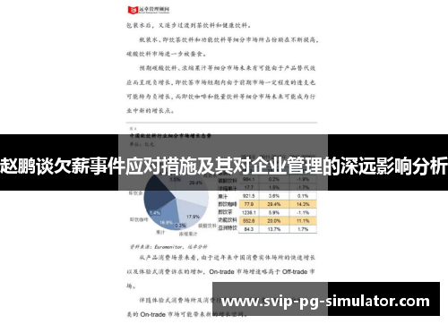 赵鹏谈欠薪事件应对措施及其对企业管理的深远影响分析
