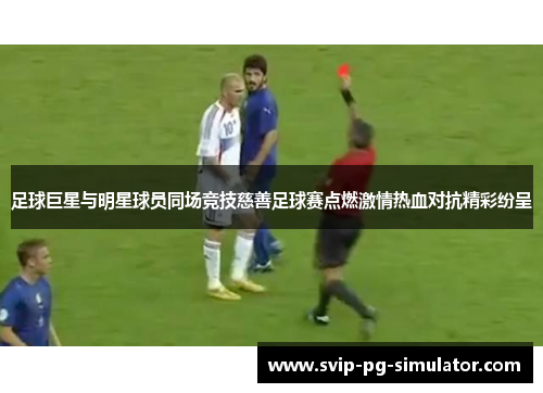 足球巨星与明星球员同场竞技慈善足球赛点燃激情热血对抗精彩纷呈 足球巨星与明星球员同场竞技慈善足球赛点燃激情热血对抗精彩纷呈