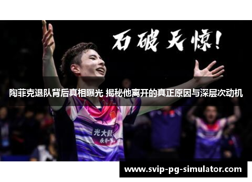 陶菲克退队背后真相曝光 揭秘他离开的真正原因与深层次动机